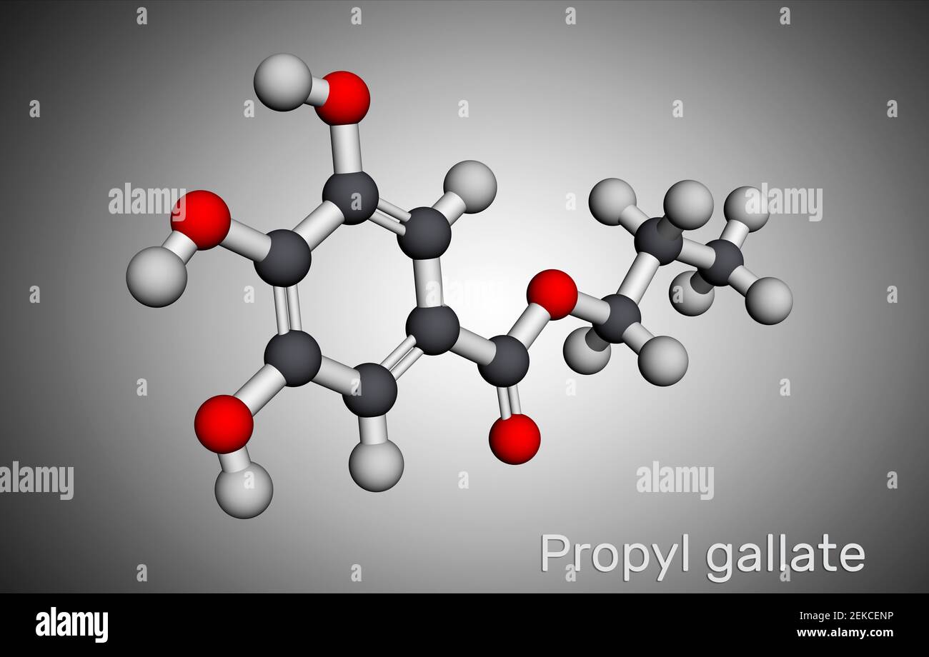 Gallate de propyle, molécule de gallate de N-propyle. Il est antioxydant, additif alimentaire, E310. Modèle moléculaire. Rendu 3D. Illustration 3D Banque D'Images