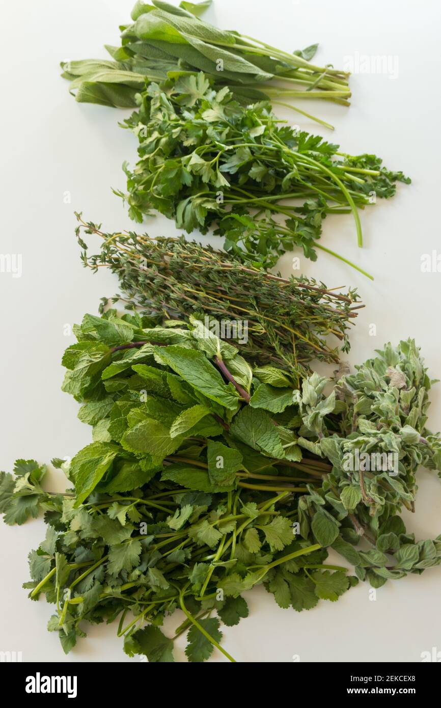 Herbes fraîches isolées sur fond blanc, persil, romarin, thym, sauge, origan, Banque D'Images