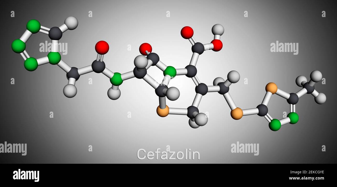 Cefazolin, cefazoline, molécule de cepazolin. Il s'agit de l'antibiotique bêta-lactame, céphalosporine de première génération. Modèle moléculaire. Rendu 3D. Illustrateur 3D Banque D'Images