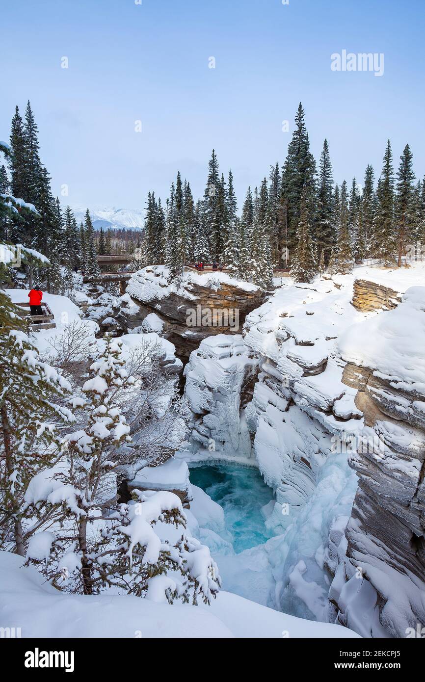 Les chutes Athabasca en hiver, Jasper National Park, Alberta, Canada Banque D'Images