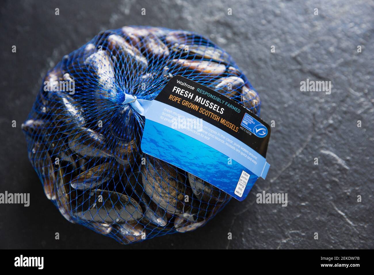 Moules écossaises brutes, non cuites, cultivées sur corde, achetées dans un supermarché Waitrose. Le Brexit du 31 2020 janvier a causé des perturbations à certains des shellfis du Royaume-Uni Banque D'Images