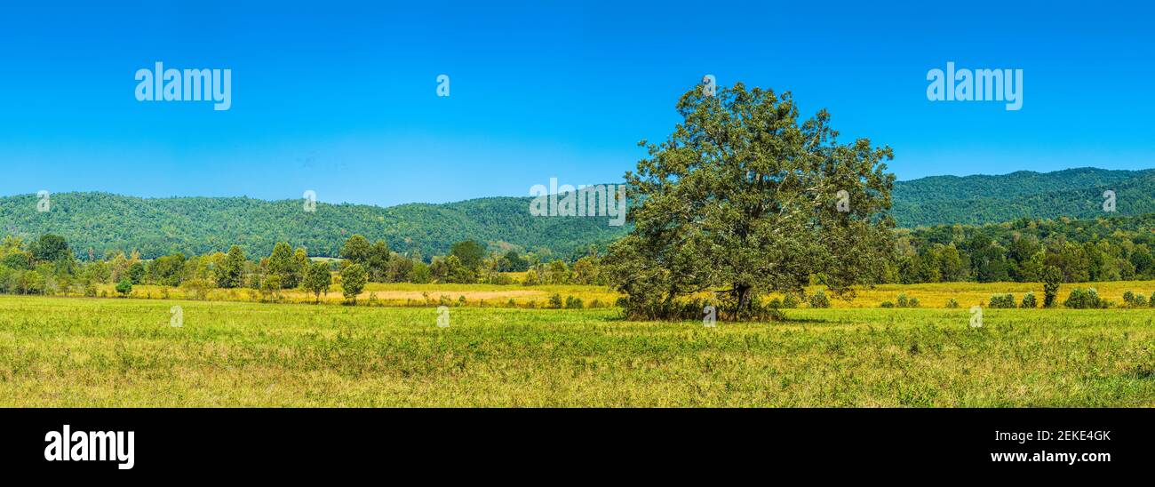 Paysage rural d'été, Cades Cove, parc national des Great Smoky Mountains, Tennessee, États-Unis Banque D'Images