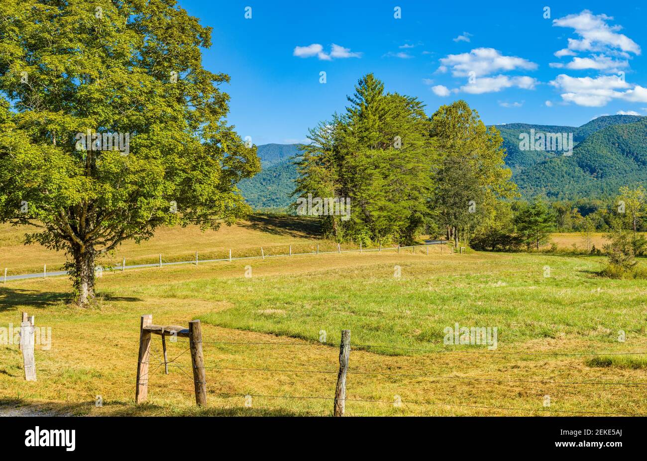 Paysage rural d'été, Cades Cove, parc national des Great Smoky Mountains, Tennessee, États-Unis Banque D'Images