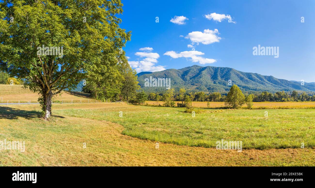 Paysage rural d'été, Cades Cove, parc national des Great Smoky Mountains, Tennessee, États-Unis Banque D'Images