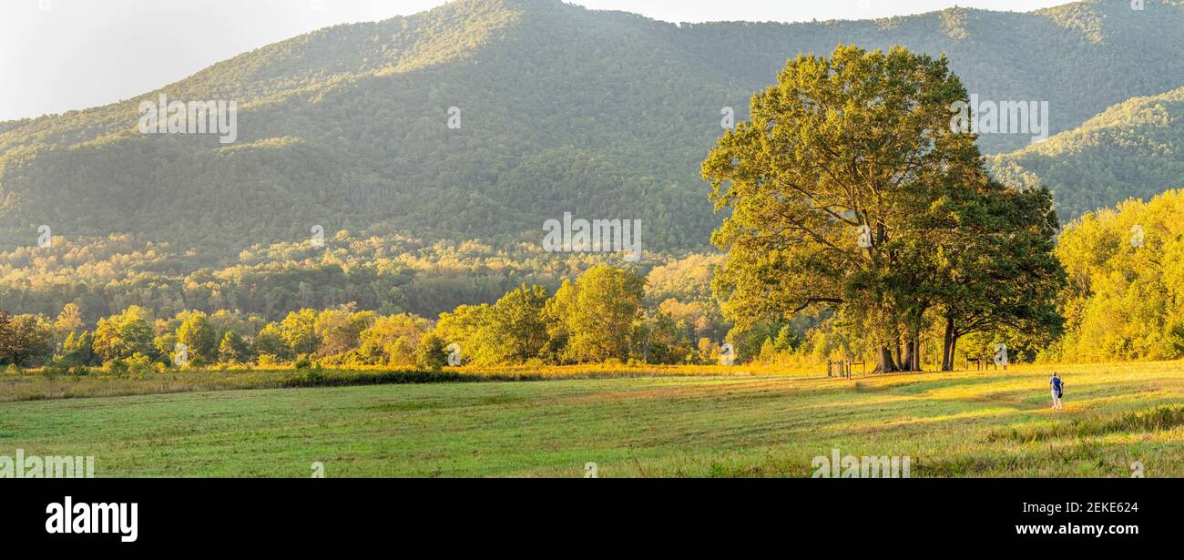 Paysage rural d'été, Cades Cove, parc national des Great Smoky Mountains, Tennessee, États-Unis Banque D'Images