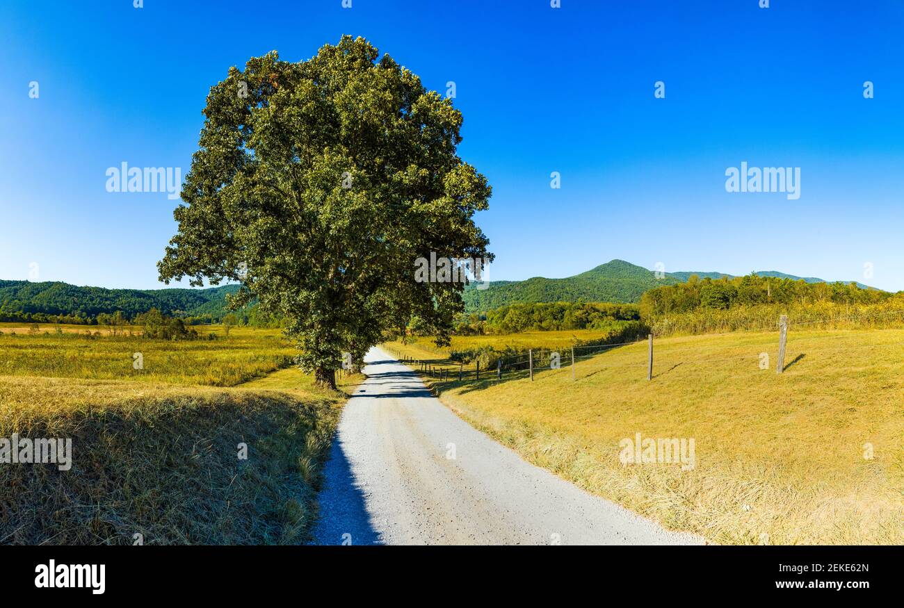 Route à travers le paysage rural d'été, Cades Cove, parc national des Great Smoky Mountains, Tennessee, États-Unis Banque D'Images