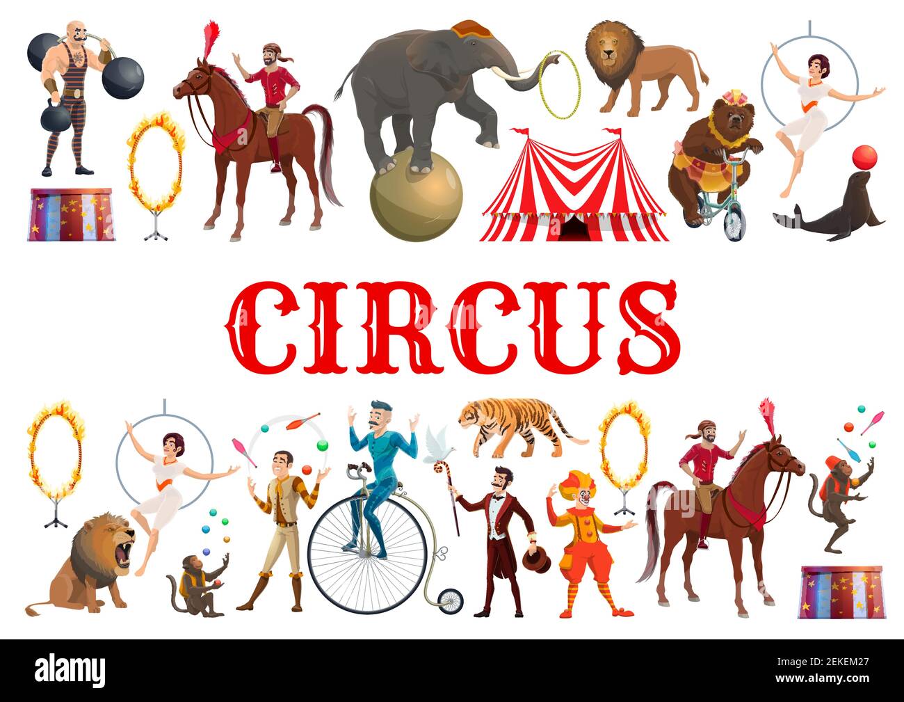 Affiche de spectacle de cirque d'animaux sauvages damer avec lion dans anneau de feu et éléphant d'équilibrage sur le ballon. Clown vectoriel, muscleman et ours sur bicky Illustration de Vecteur