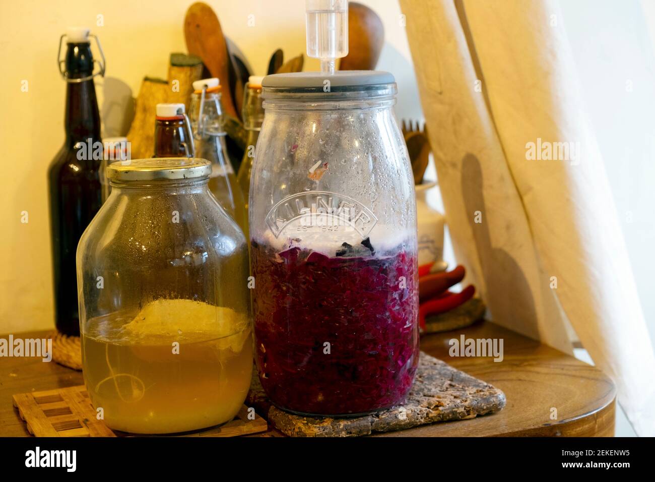 Chou rouge pourpre fermentant dans le jarre de Kilner faisant de la choucroute et Pot avec de la bière au gingembre à la maison dans la cuisine ROYAUME-UNI KATHY DEWITT Banque D'Images