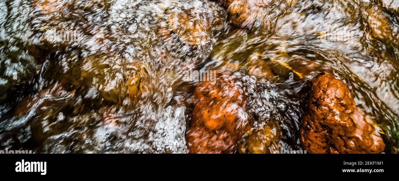 Ruisseau de montagne rapide, Sonora Pass, comté de Mono, Californie, États-Unis Banque D'Images