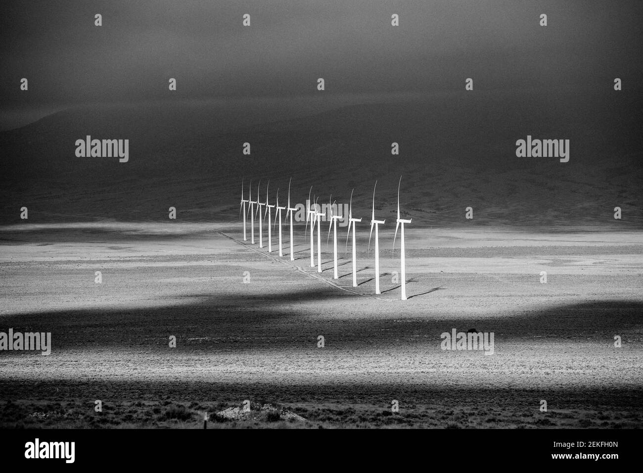 Éoliennes en noir et blanc, parc national de Great Basin, Nevada, États-Unis Banque D'Images