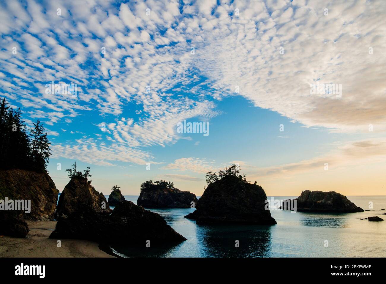 Altocumulus nuages au-dessus de la côte de mer au coucher du soleil, Samuel H. Boardman State Park, Brookings, Oregon, États-Unis Banque D'Images
