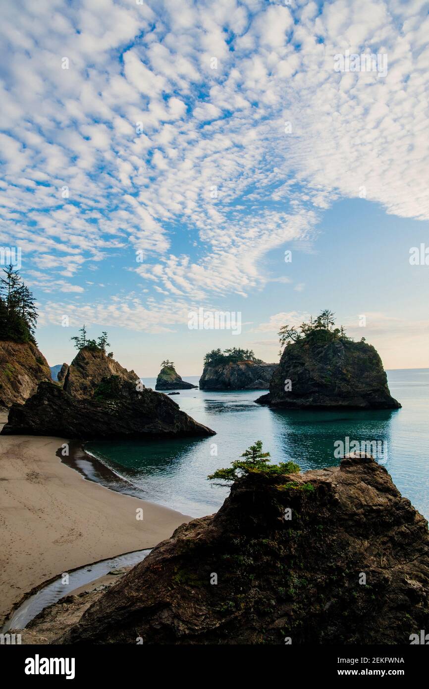 Altocumulus nuages au-dessus de la côte de mer au coucher du soleil, Samuel H. Boardman State Park, Brookings, Oregon, États-Unis Banque D'Images