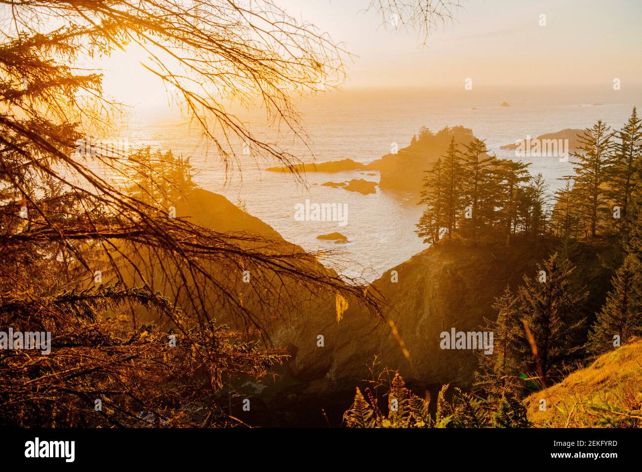 Côte de mer au coucher du soleil, parc national Samuel H. Boardman, Brookings, Oregon, États-Unis Banque D'Images