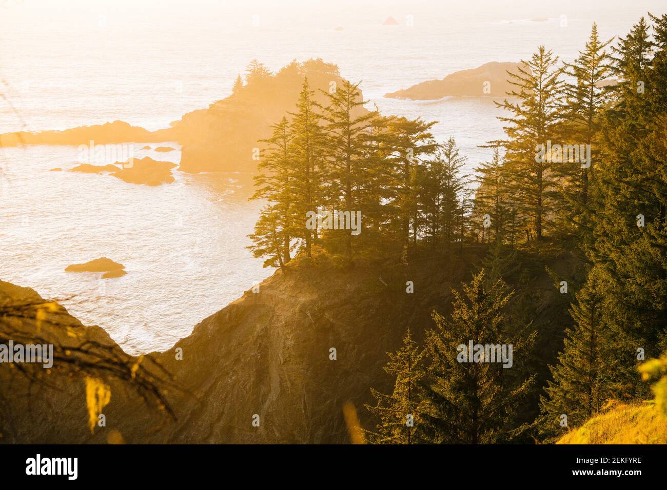 Côte de mer au coucher du soleil, parc national Samuel H. Boardman, Brookings, Oregon, États-Unis Banque D'Images