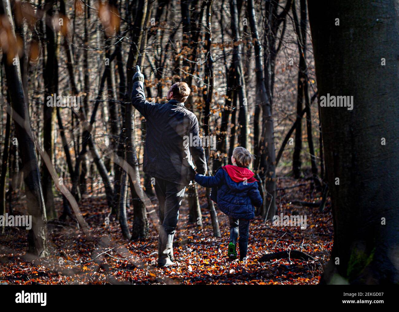 Père et fils sur une promenade dans les bois à l'hiver - Oxfordshire, Royaume-Uni Banque D'Images