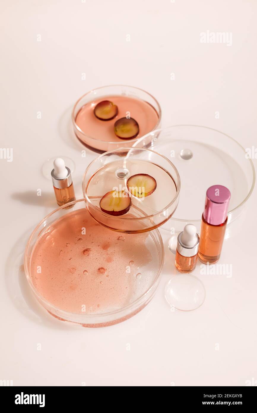 Laboratoire cosmétique abstrait. Bio cosmétique biologique avec huile de graines de raisin et ingrédients à base de plantes. Vue de dessus Banque D'Images