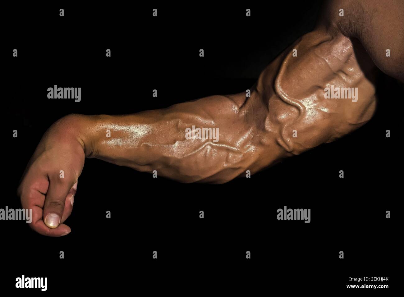 Veines et tendons dans le bras. Bras avec muscles, biceps, triceps et veines  sur fond noir. Bodybuilder musculaire démontre sa veine, son sang Photo  Stock - Alamy