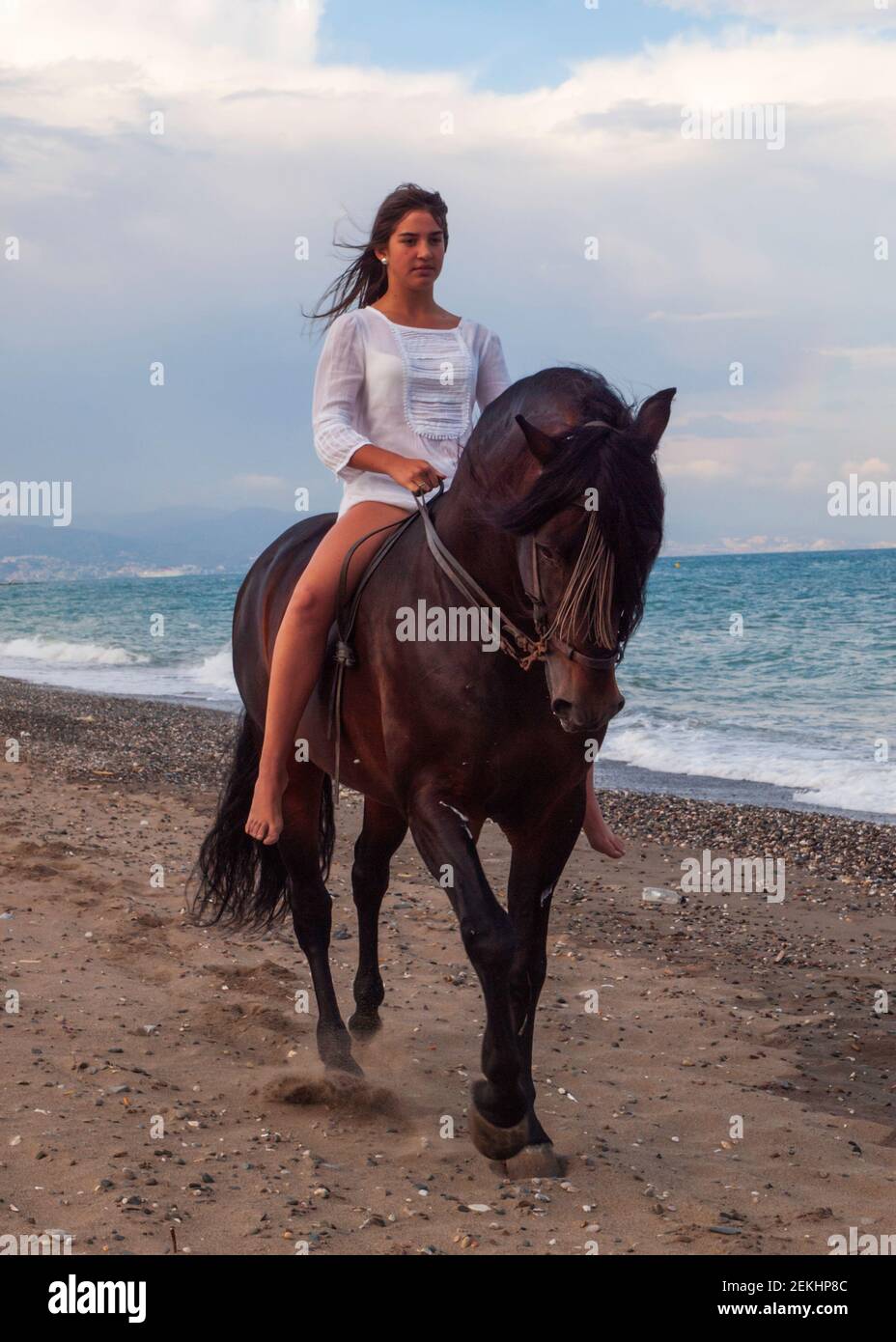 Plage de cheval blanc Banque de photographies et d’images à haute