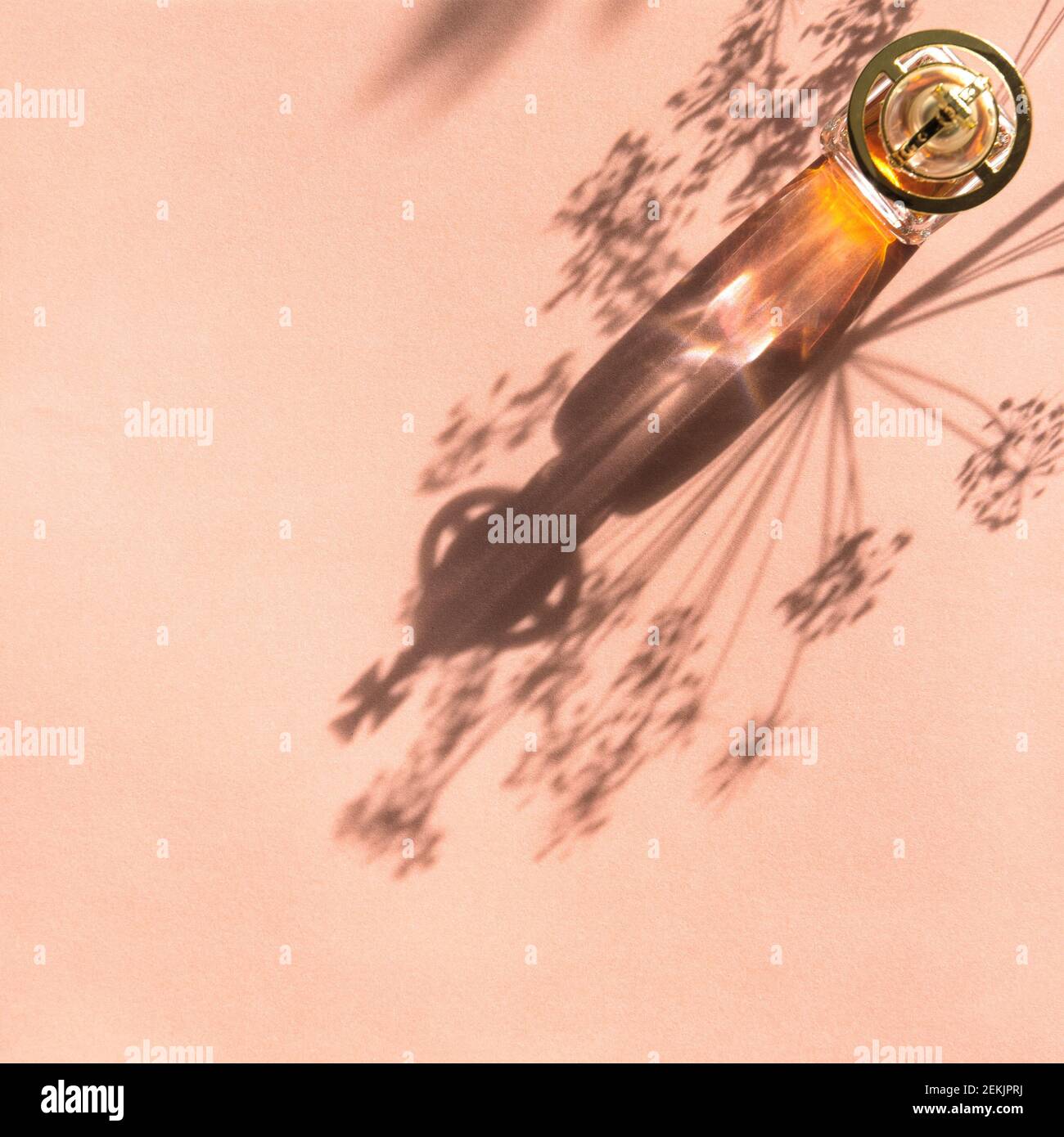 Bouteille de parfum vintage avec ombre au soleil sur fond rose Banque D'Images