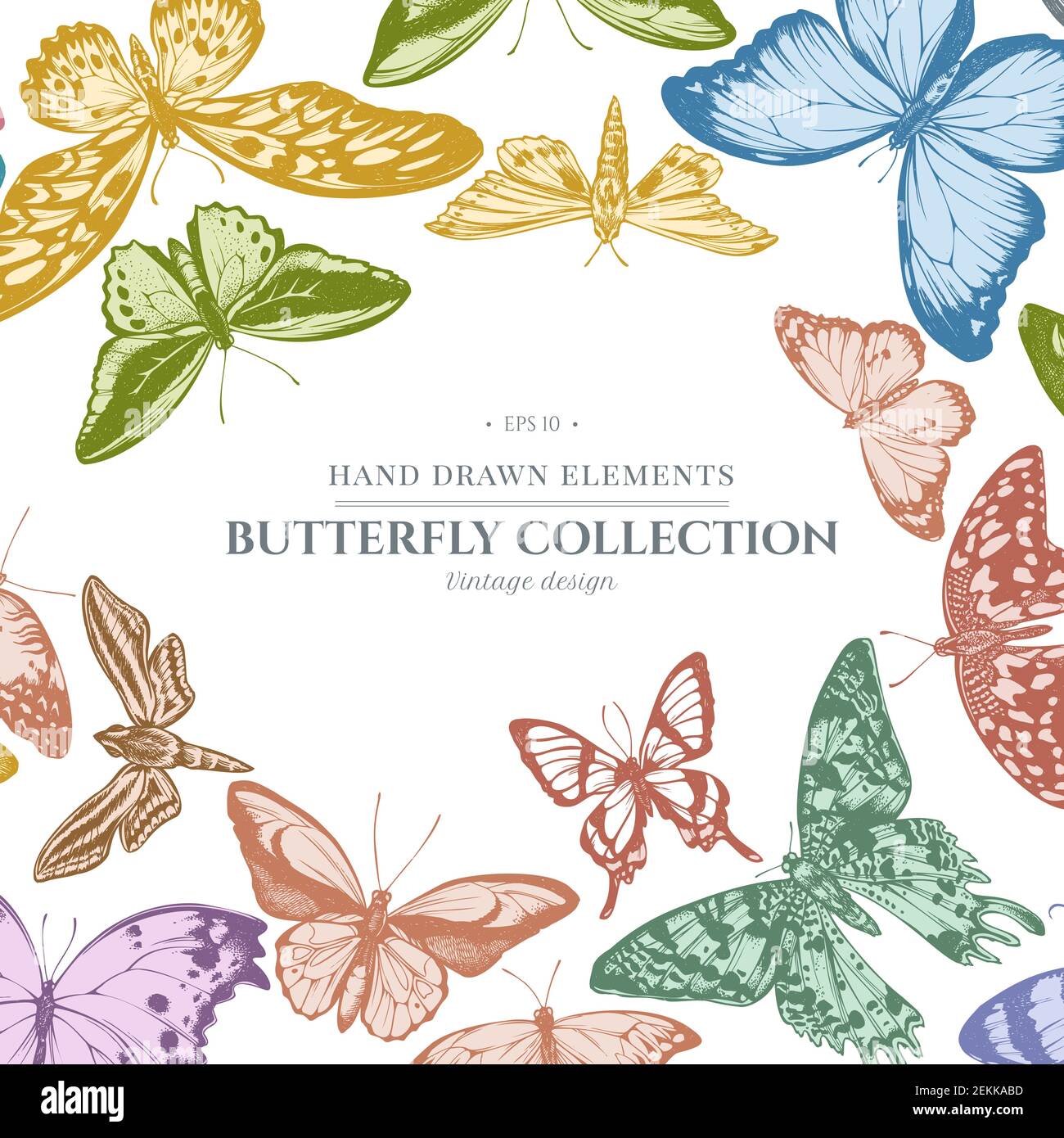 Design avec une pointe orange pastel, une queue d'allowtail émeraude, un tigre Uni, une aile d'oiseaux de rajah brooke, un papillio torquatus, un papillon à queue d'allowtail Illustration de Vecteur