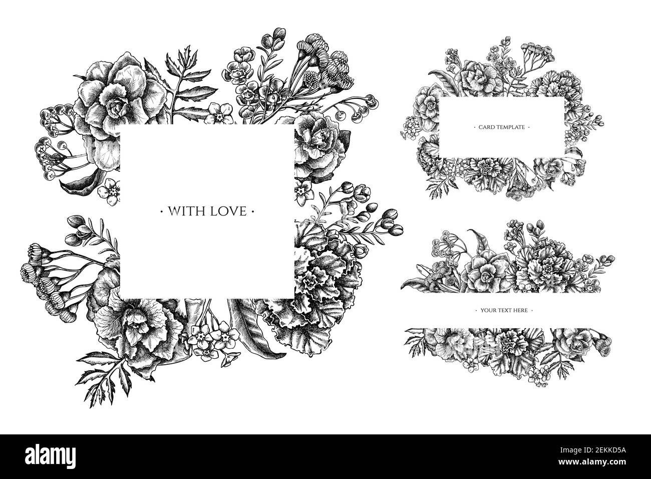 Cadres floraux avec fleur de cire noire et blanche, oubliez-moi pas fleur, tansy, ardisia, brassica, chou décoratif Illustration de Vecteur