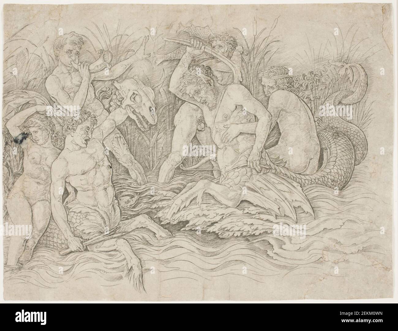 Andrea Mantegna (1432-1506), la bataille de la mer, 1470-1480 Banque D'Images