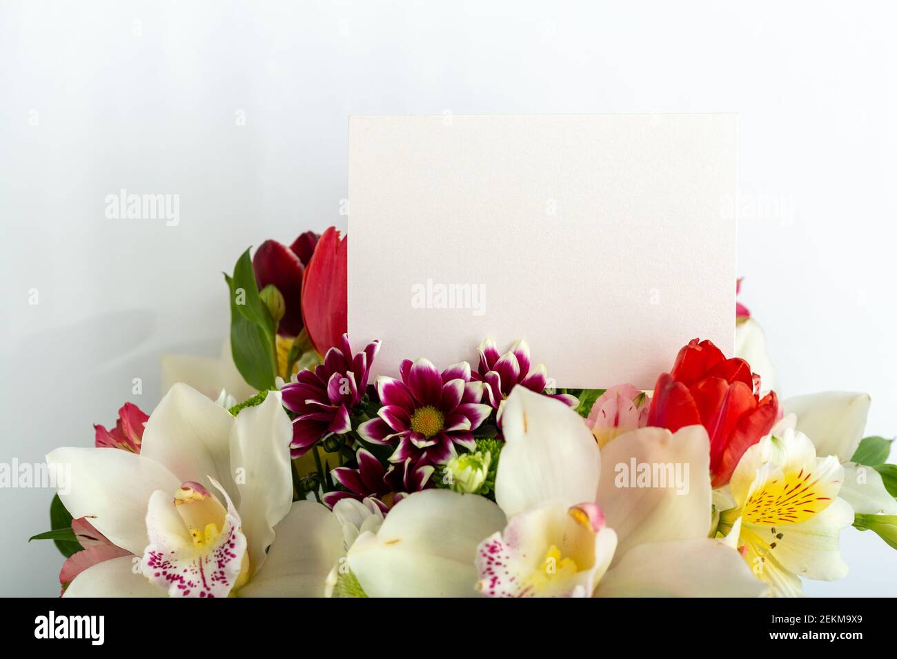Fleurs moquantes de félicitations. Carte de félicitations en bouquet de ...