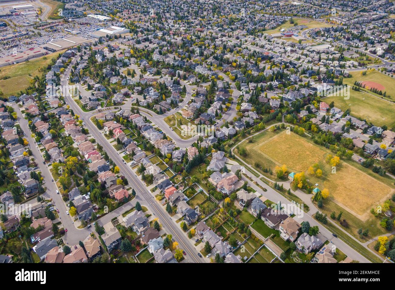 Vue aérienne des maisons et des rues du quartier résidentiel pendant la saison d'automne à Calgary, Alberta, Canada. Banque D'Images
