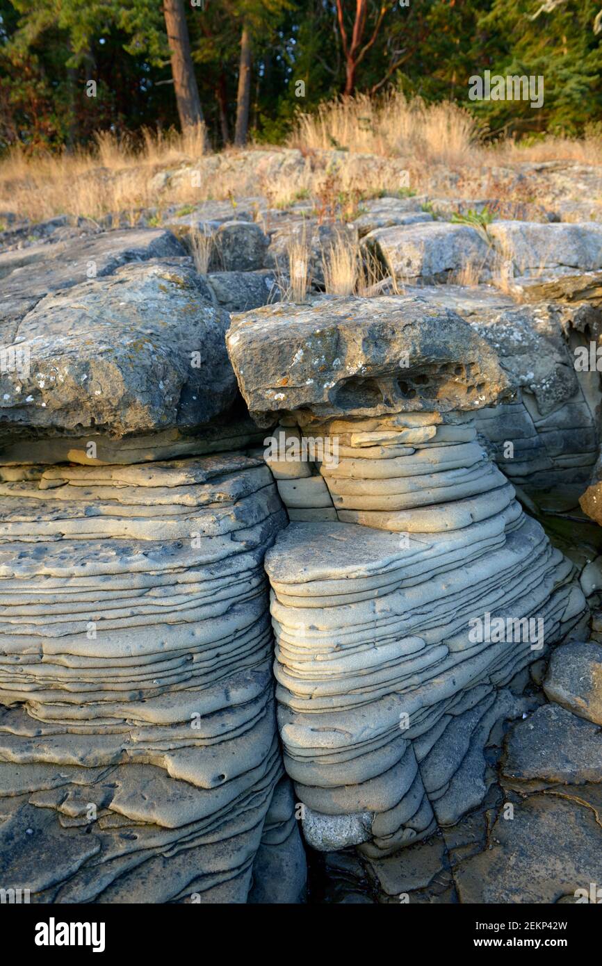 Formation de roches de grès, île Russell, Colombie-Britannique, Canada Banque D'Images