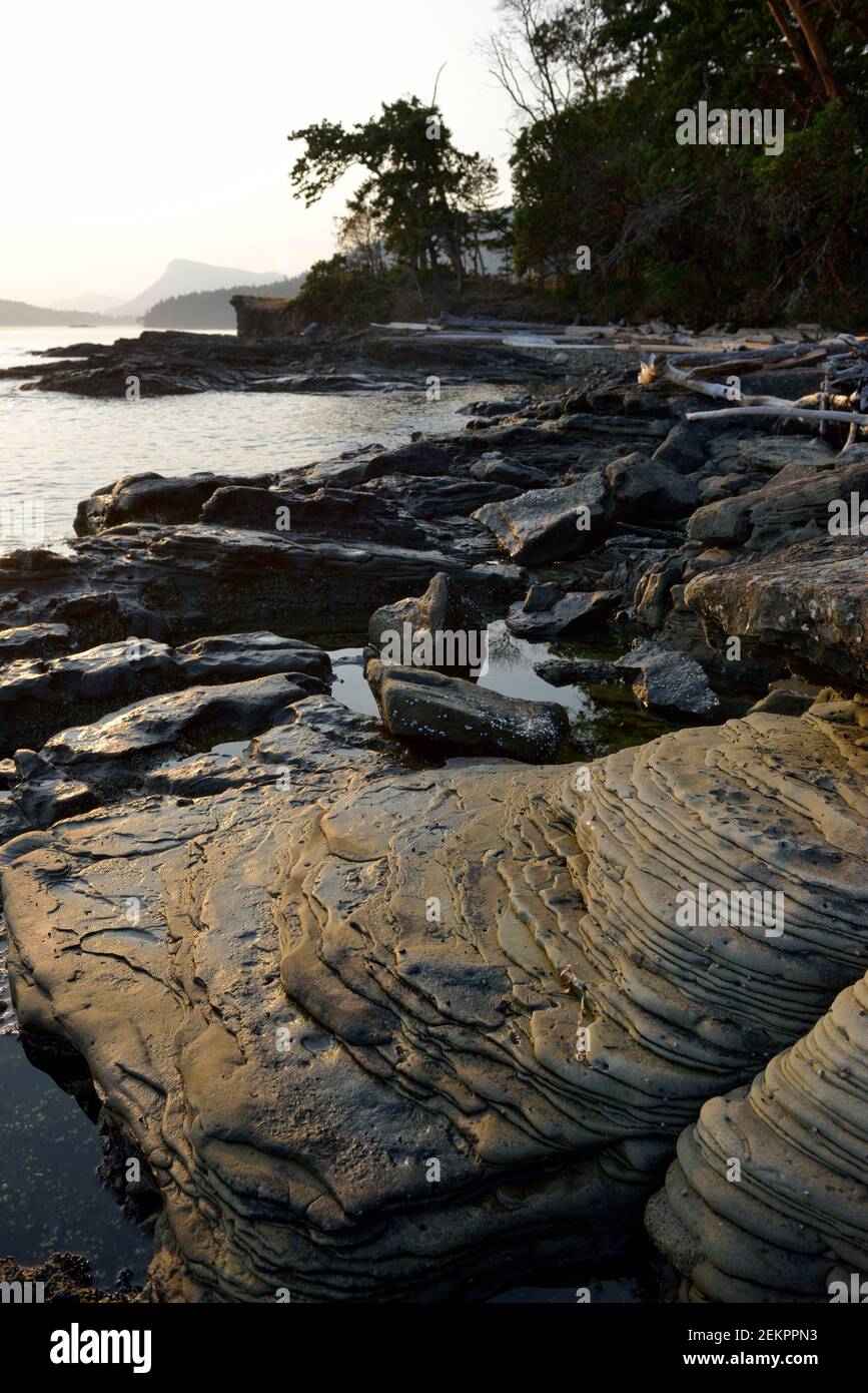 Formation de roches de grès, île Russell, Colombie-Britannique, Canada Banque D'Images
