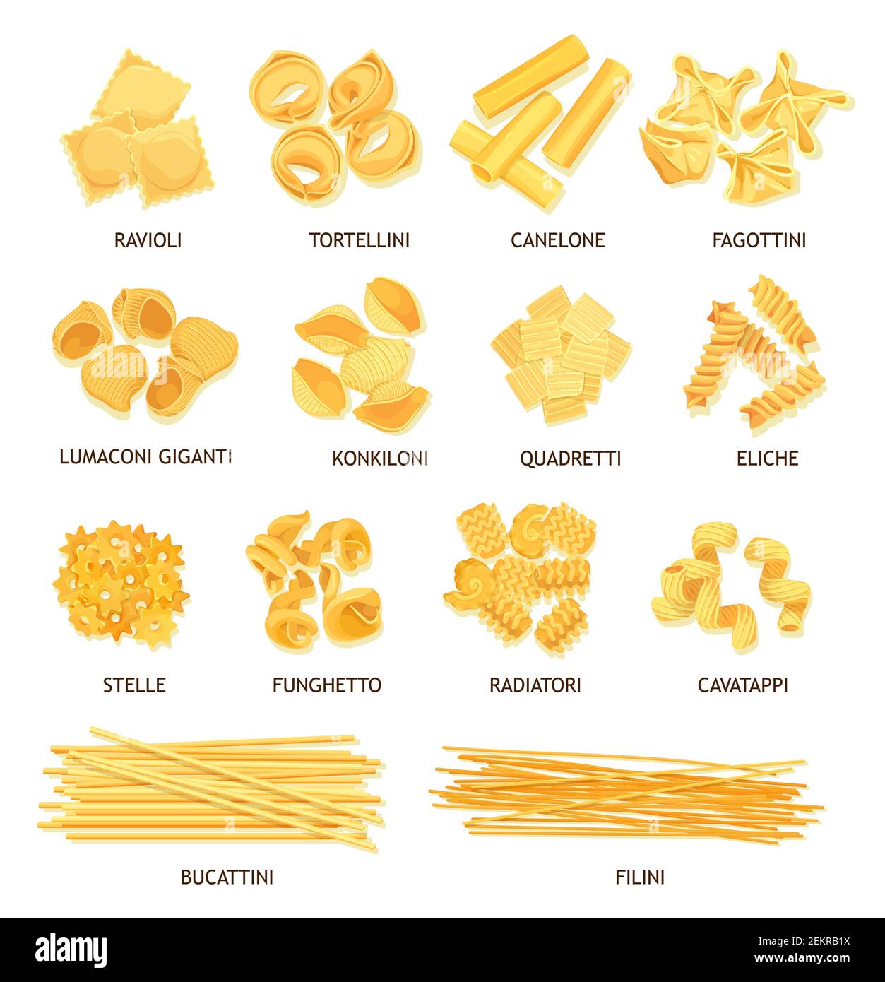 Pâtes, macaroni et spaghetti de style italien vecteur alimentaire. Fusilli,  tortellini et ravioli, cannelloni, nouilles et stelline, conchiglie,  boulettes a Image Vectorielle Stock - Alamy