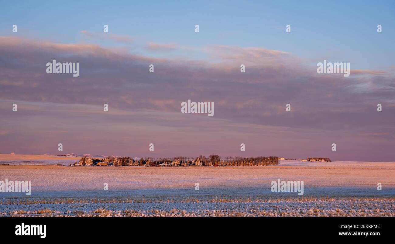 Une ferme rurale sur un champ récolté dans les Prairies canadiennes au lever du soleil. Banque D'Images