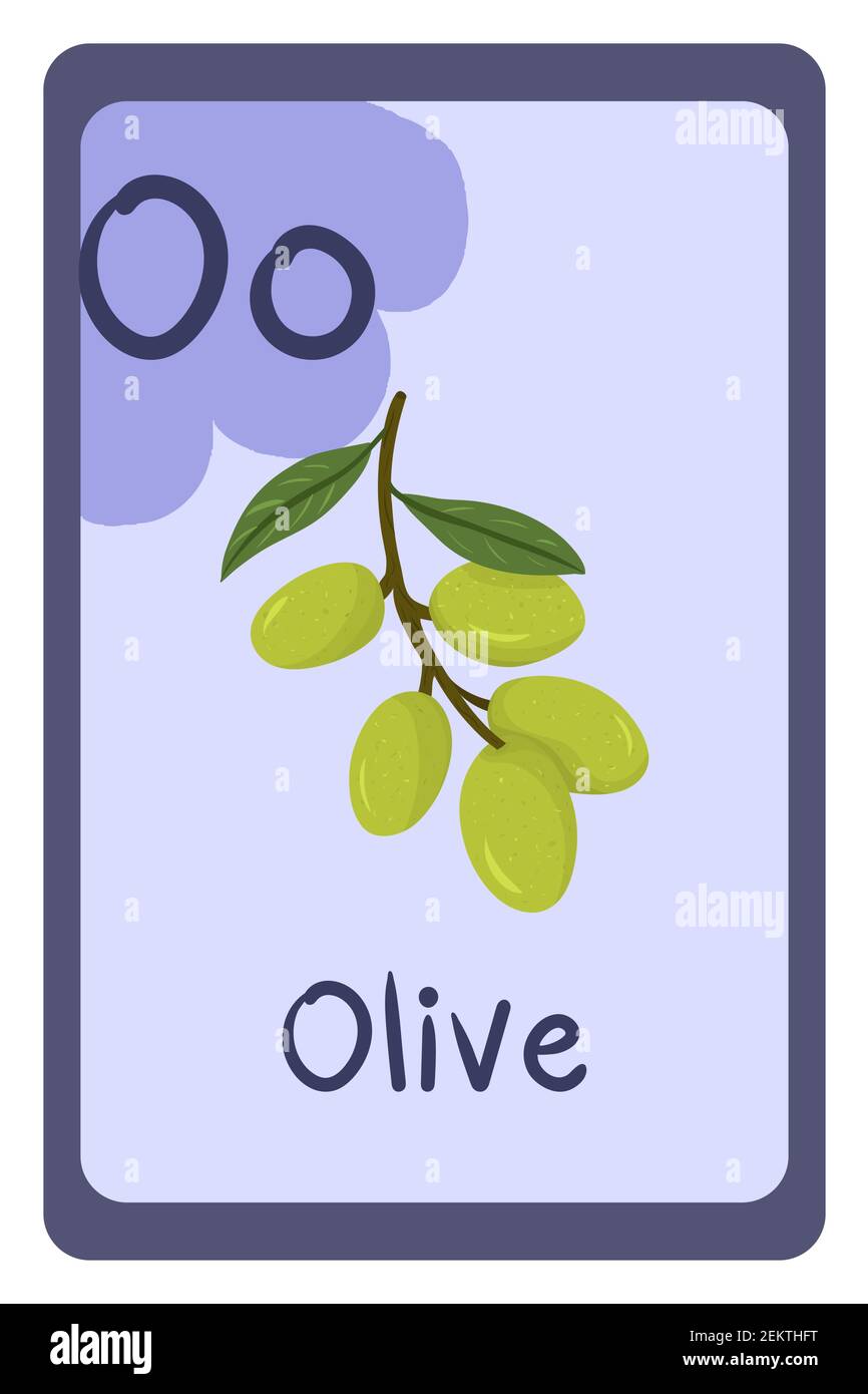 Carte flash d'éducation abc colorée, lettre O - branche d'olive avec feuilles vertes. Illustration vectorielle de l'alphabet avec les aliments, les fruits et les légumes. École, étude, concept d'apprentissage. Illustration de Vecteur