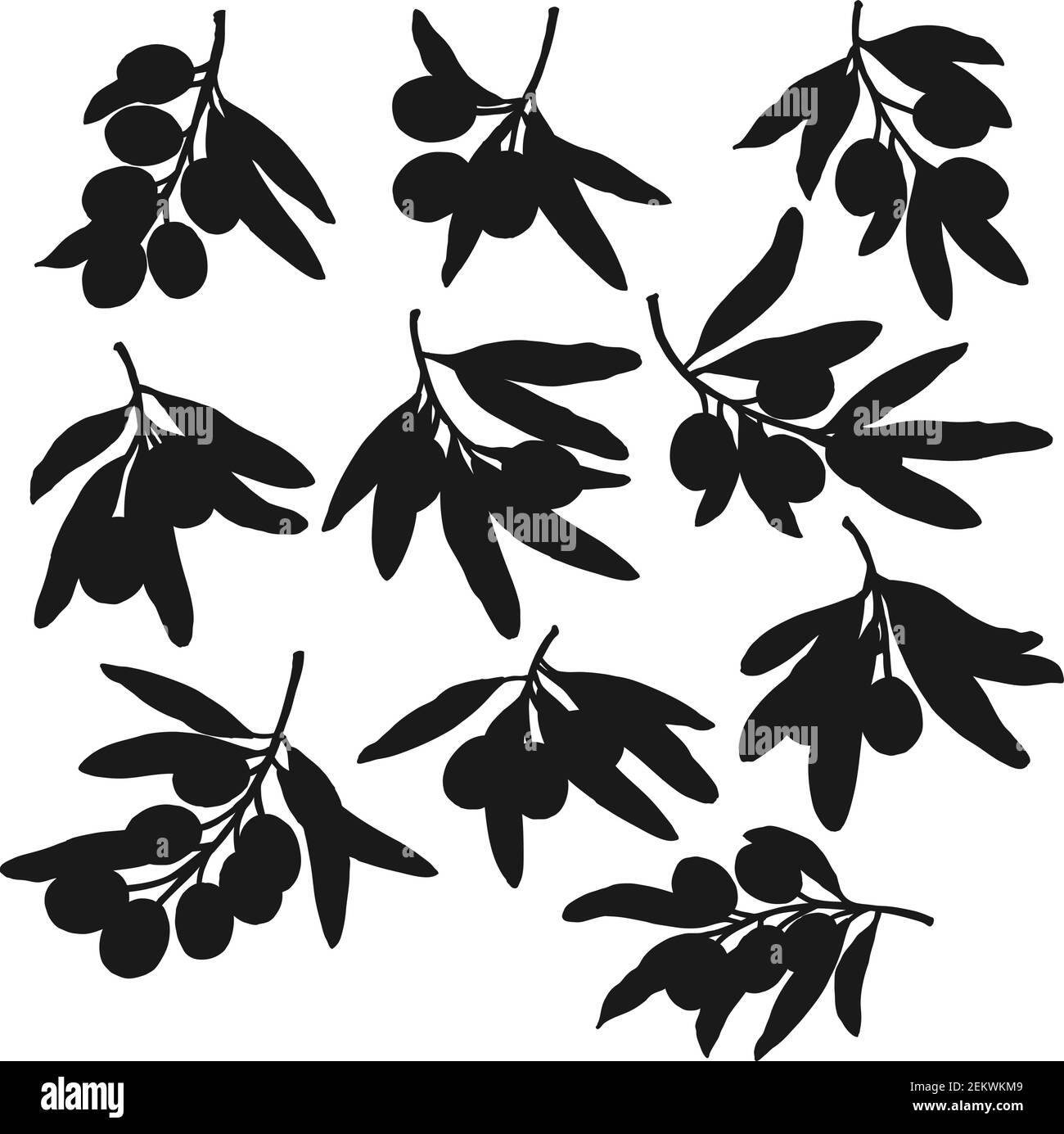 Olives branches silhouettes noires, vecteur isolé. Fruits et feuilles d'olive, produits de ferme naturels ingrédients d'assaisonnement à l'huile vierge extra. Méditerranée Illustration de Vecteur