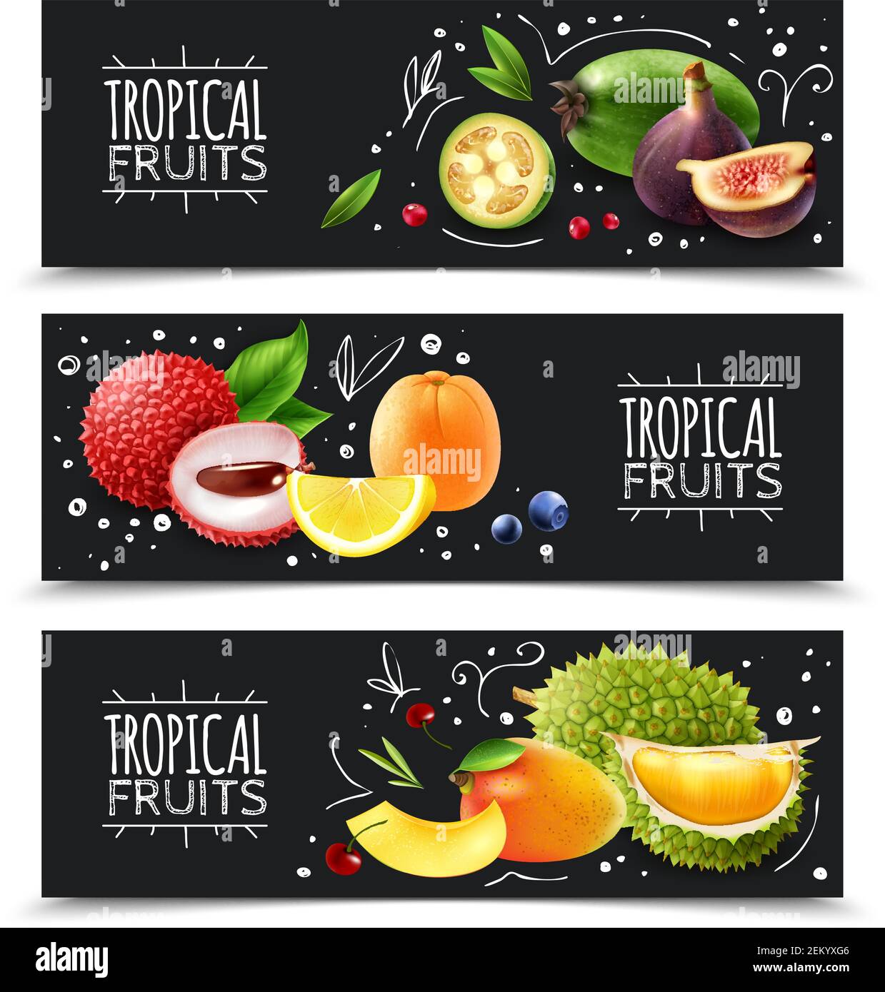 Ensemble de bannières horizontales fruits exotiques tropicaux avec éléments de design illustration du vecteur d'arrière-plan isolé sur le tableau de craie Illustration de Vecteur