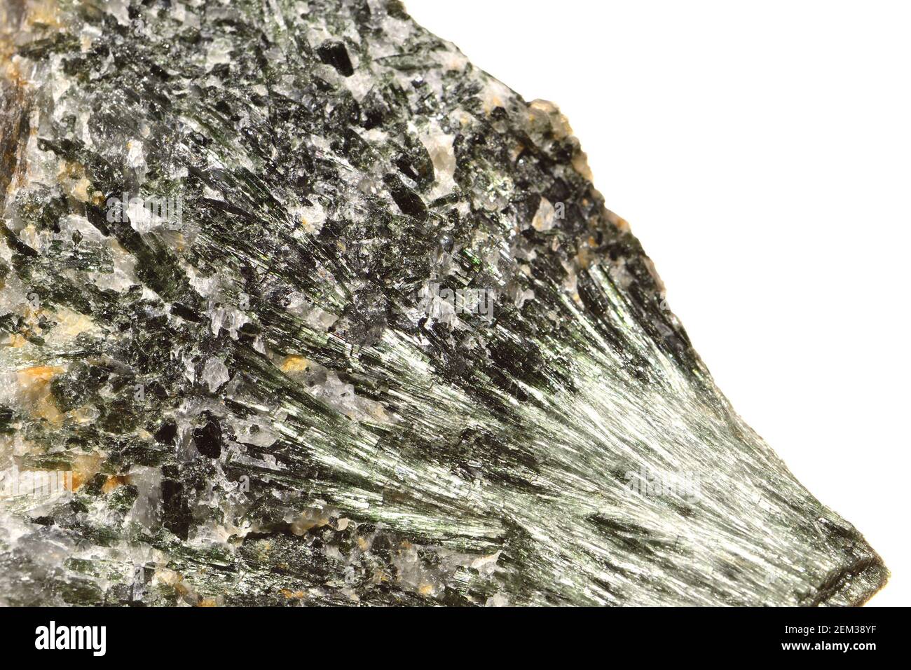 Actinolite [hydroxyde de silicate de calcium] minéral silicate d'amphibole Banque D'Images