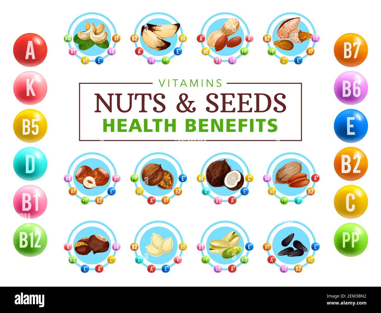 Noix et graines avantages sains dans le complexe vitaminique. Vecteurs A, B, D, K, E groupes vitaminiques et grains naturels, alimentation végétalienne. Noix de coco et noix, Illustration de Vecteur