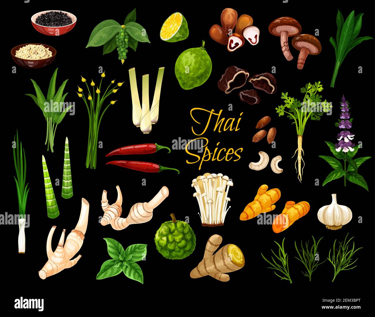 Cuisson des épices, cuisine thaïlandaise herbes et assaisonnements. Vector Thailand épices, condiments et aromatisants à base de plantes, racine de gingembre, citronnelle et citron vert kaffir, Illustration de Vecteur