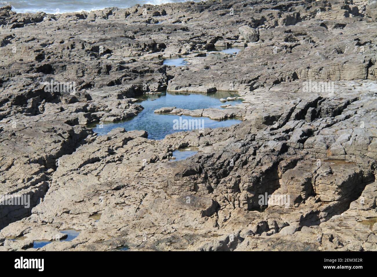 Une collection de bassins de roche de marée d'eau salée côtière. Banque D'Images