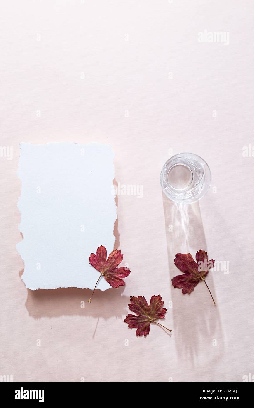 Scène de vie fixe avec une feuille de papier vierge. Feuilles de couleur automnale et un verre d'eau en cristal, plat sur un fond rose délicat. Automne minimal Banque D'Images
