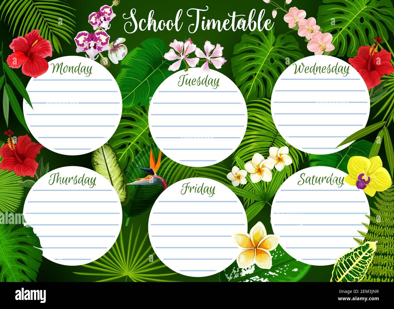 Horaire de l'école, horaire de la semaine des cours aux élèves sur fond de feuilles exotiques tropicales et de motifs floraux. Modèle de calendrier scolaire Vector avec vert Illustration de Vecteur