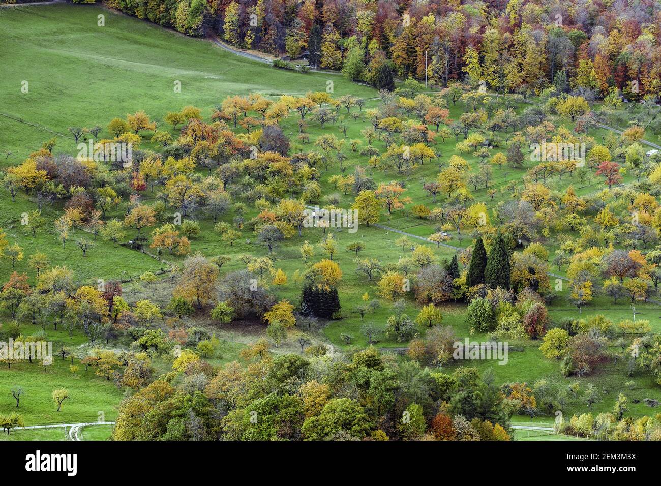 Vue de la formation rocheuse de Beurener Fels aux prairies de verger en automne, Allemagne, Bade-Wurtemberg, Beuren Banque D'Images
