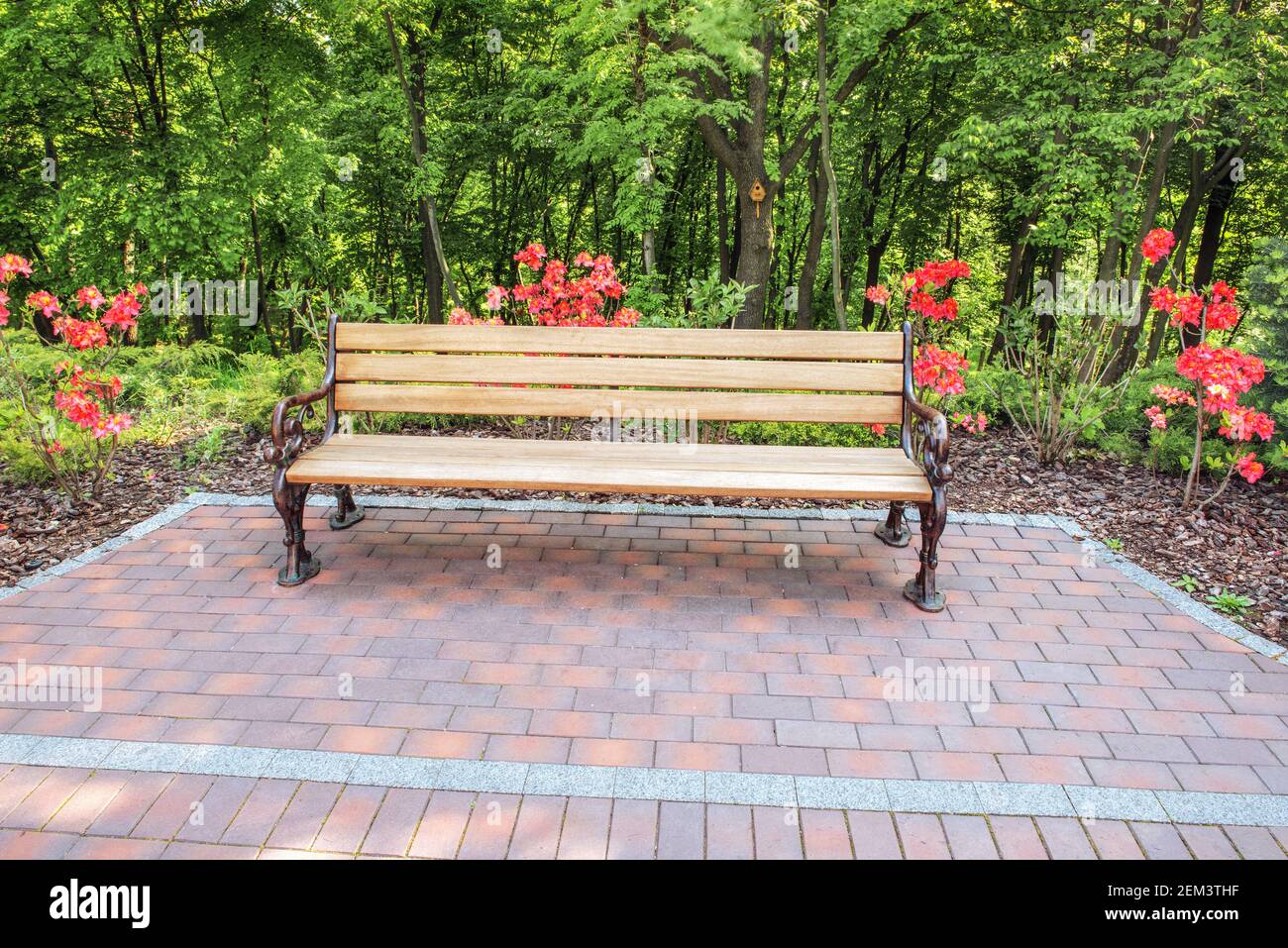 Un coin confortable dans le parc - un banc confortable, une forêt de feuillus et des buissons d'azalées fleuries. Banque D'Images