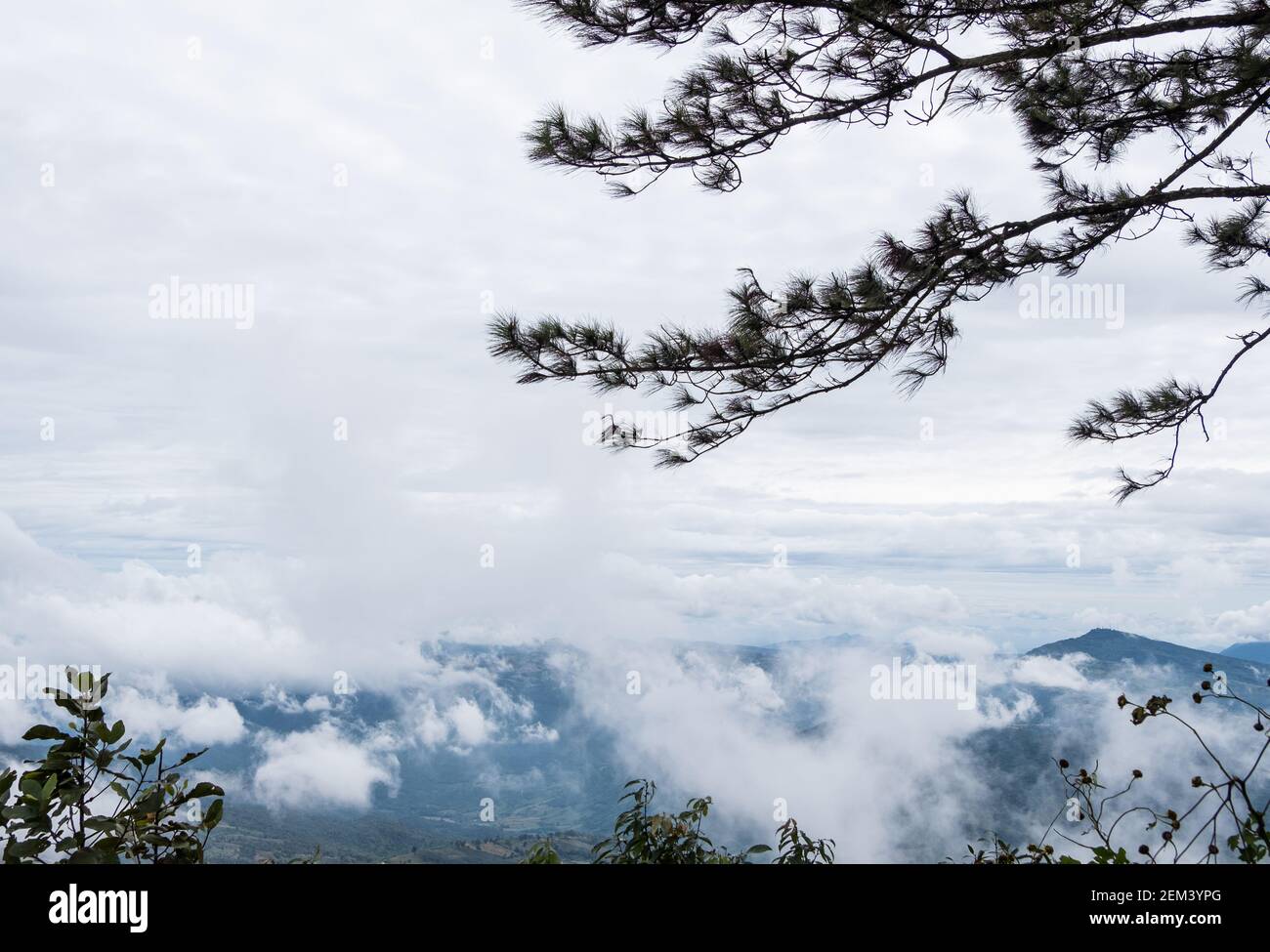 Vue depuis le sommet d'une haute montagne avec la couverture par le nuage puffy dans la vallée, tôt le matin dans le parc national, vue de face avec la copie Banque D'Images