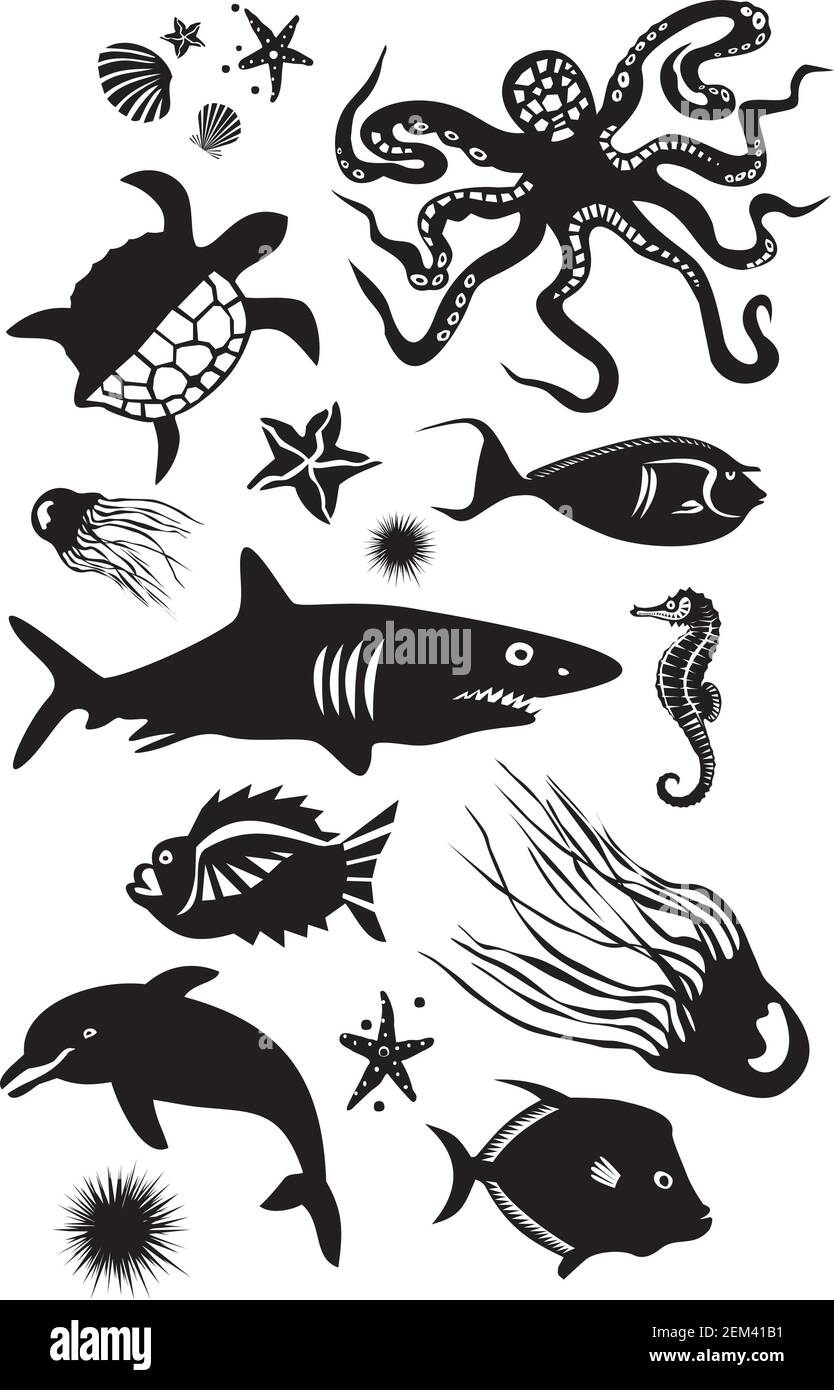 Ensemble de dessins humoristiques animaux marins Illustration de Vecteur