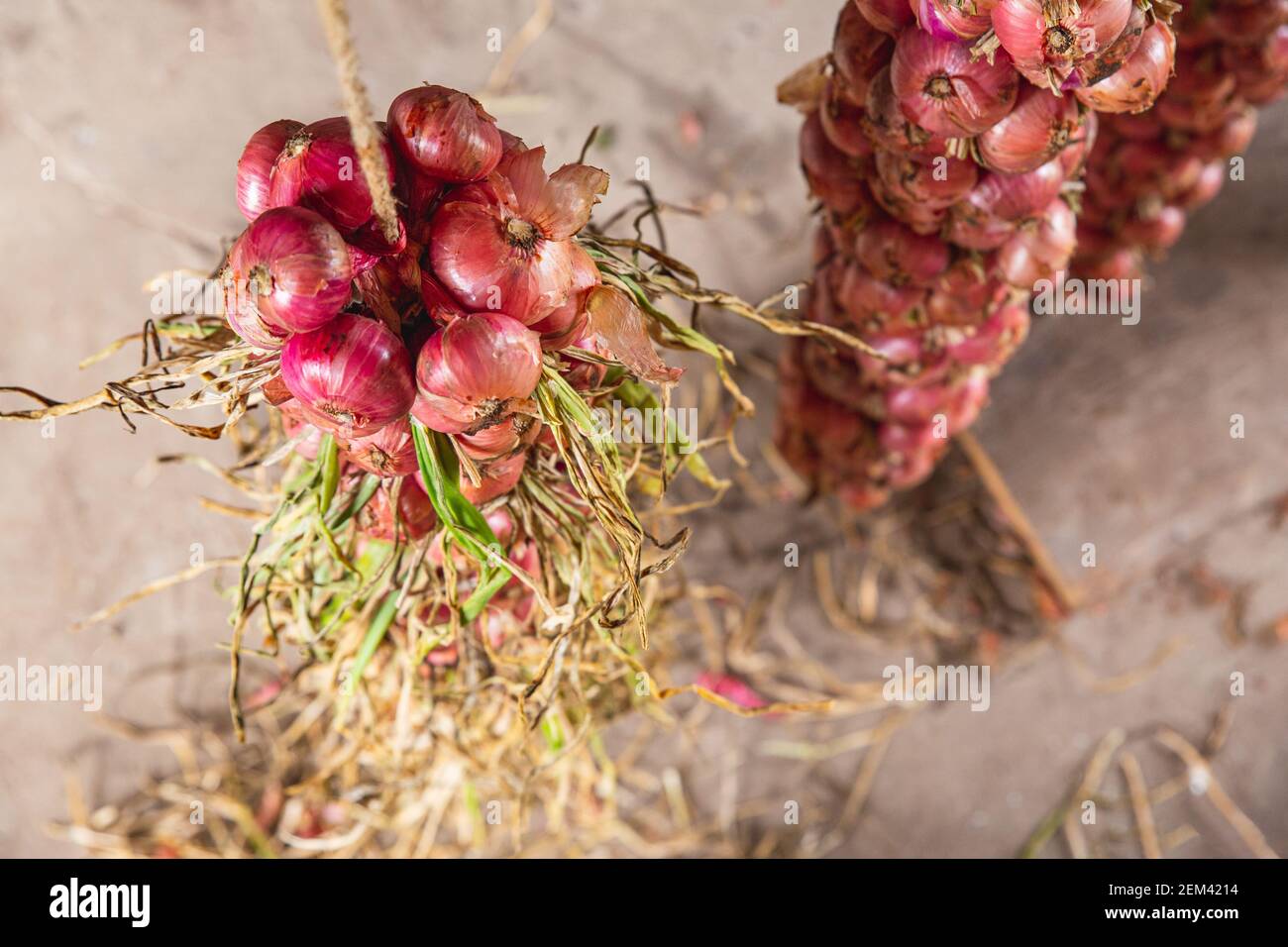 Un bouquet d'oignons rouges en gros plan, vue du dessus. Culture et stockage des légumes. Banque D'Images
