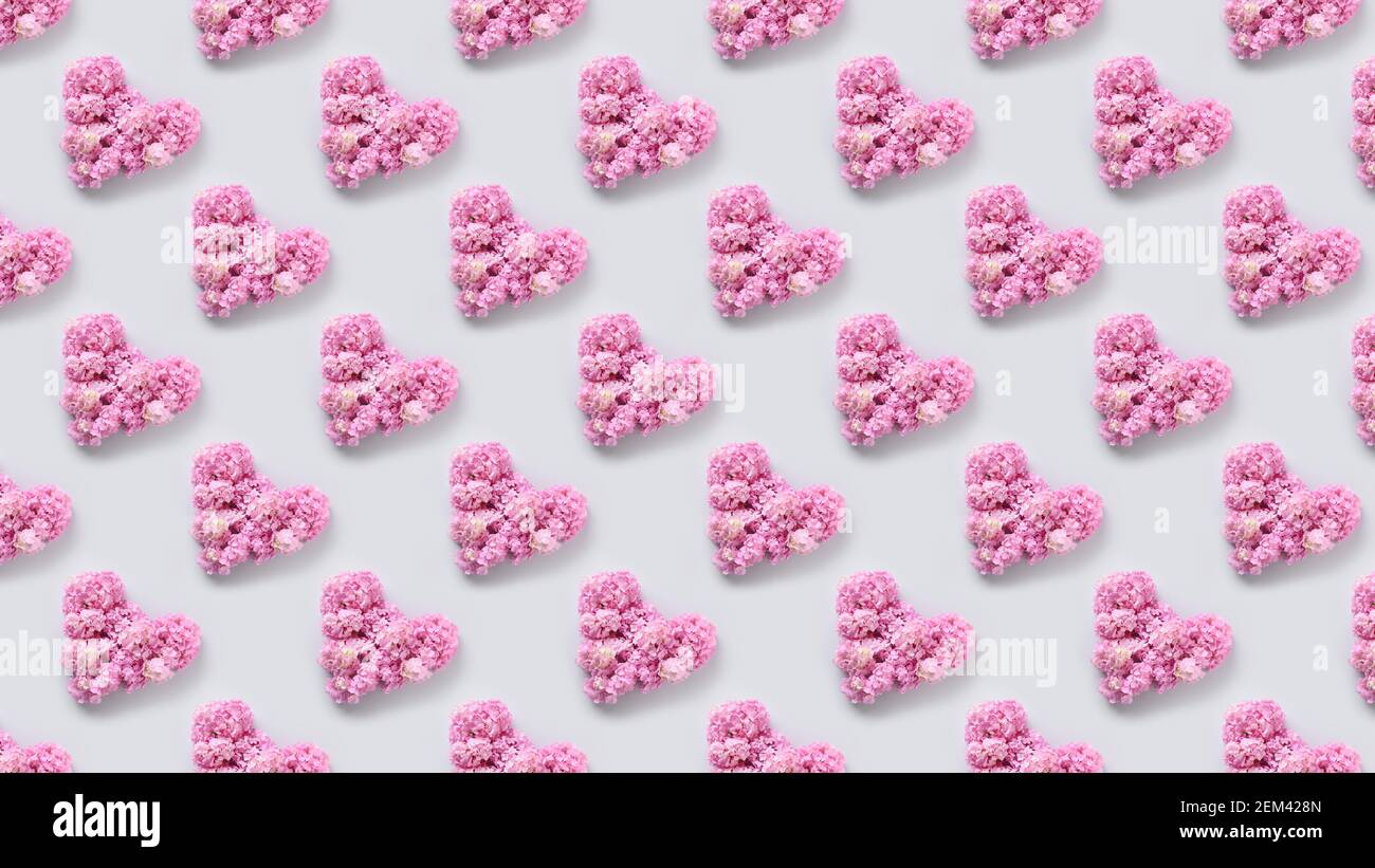 Motif sans couture de fleurs d'hortensia roses sur fond gris. Motif fleuri. Banque D'Images
