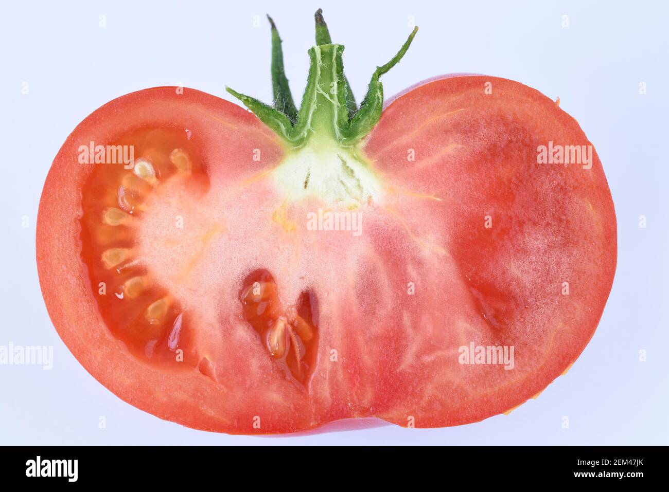 Beefsteak tomate coupée en moitié Solanum lycopersicum Syn. Lycopersicon esculentum Banque D'Images