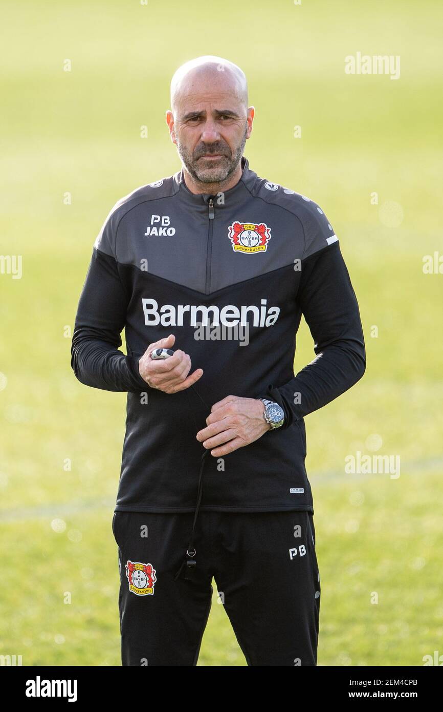Leverkusen, Allemagne. 24 février 2021. Football: Europa League, avant le match Bayer Leverkusen - jeunes garçons Berne. Peter Bosz, entraîneur de Leverkusen, suit la formation de son équipe. Credit: Marius Becker/dpa/Alay Live News Banque D'Images