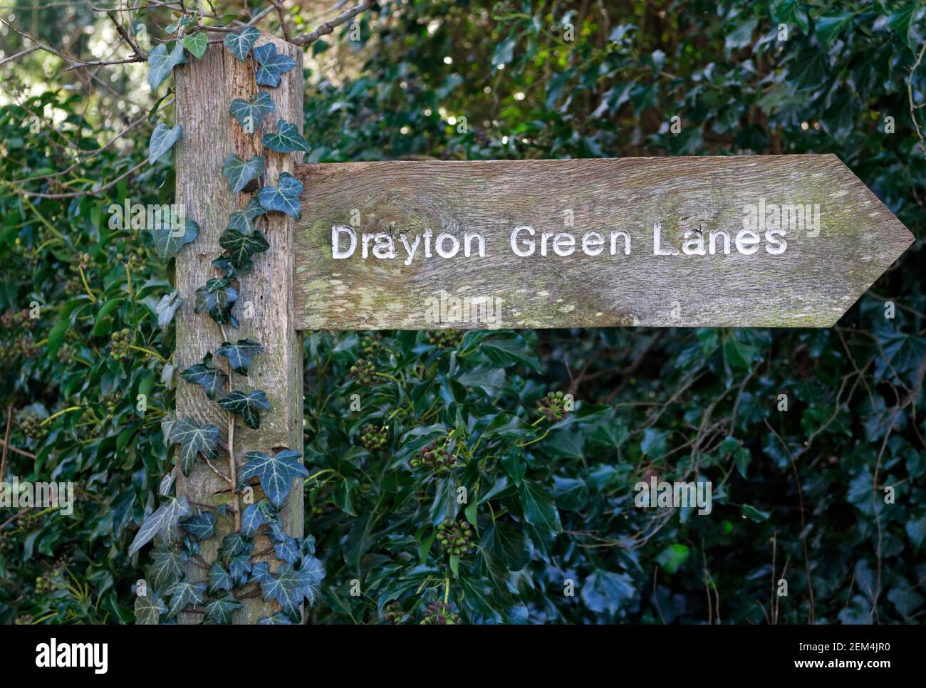 Un Fingerpost indiquant la direction le long d'une voie publique à Drayton Green Lanes près de la rivière Wensm à Drayton, Norfolk, Angleterre, Royaume-Uni. Banque D'Images